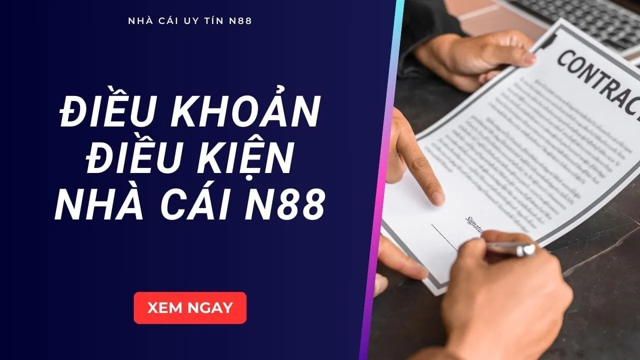 điều khoản n88